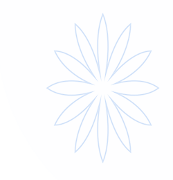 333体育-全网最权威热门体育赛事直播免费在线平台